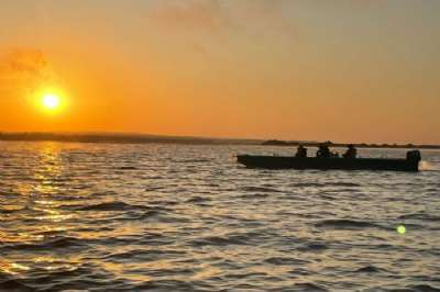 WhatsApp Image 2022-07-30 at 11.31.46.jpeg